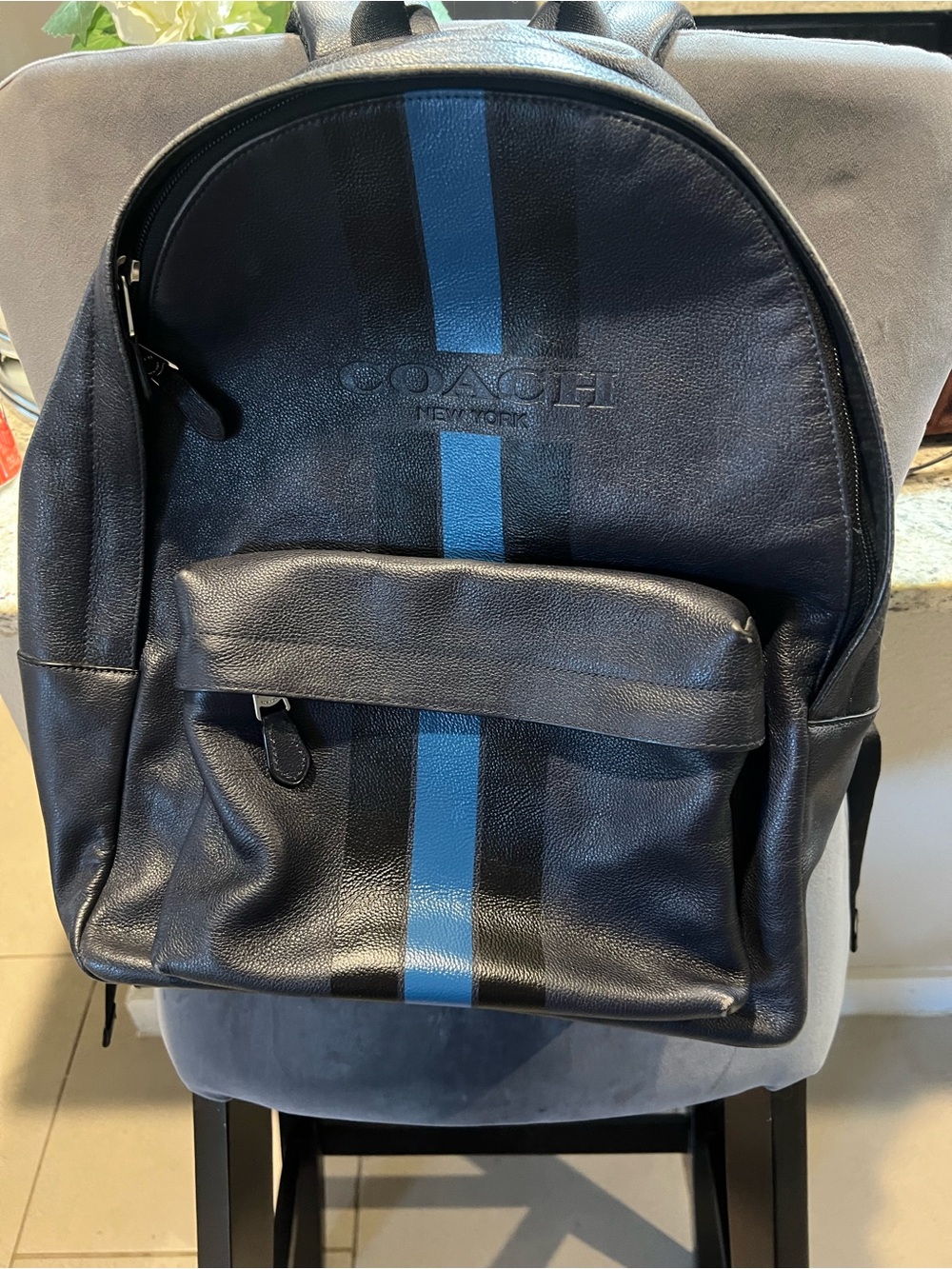 Coach Black Leather Backpack with Blue Center Stripe